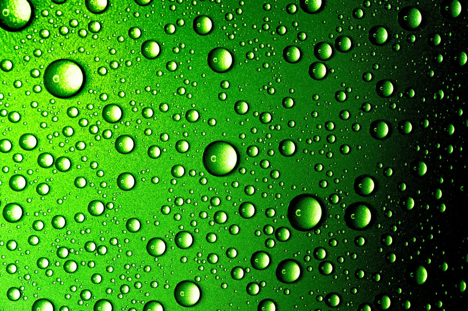 43840731 - water drops closeup. abstract green background - Cache Car Wash